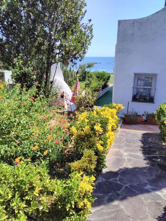 سارّوتش Villa Adelina المظهر الخارجي الصورة